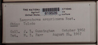 Image Associated With the Occurence